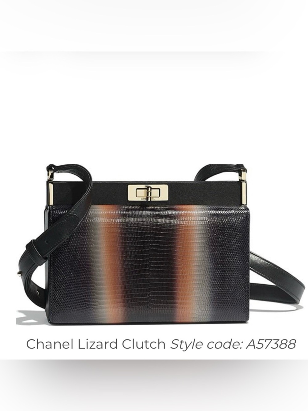 Chanel bag box exotic lizard last exotic collection made FULL SET Rare